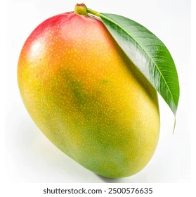 Mango Finishing test - Setup for AWS SNS